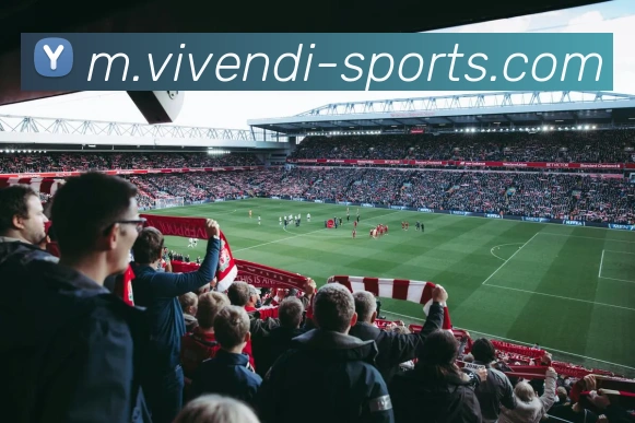 国际认证