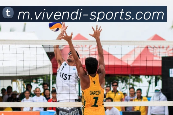 App Interface Preview